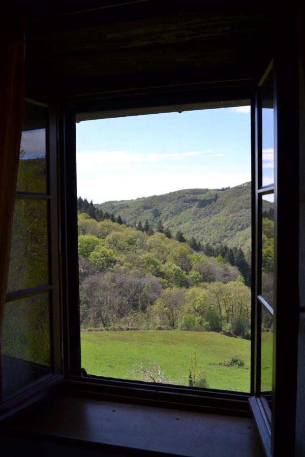 Hotel Domaine La Libaudie à La Bastide-Solages Extérieur photo
