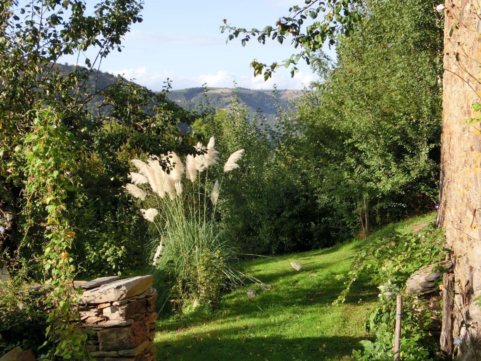 Hotel Domaine La Libaudie à La Bastide-Solages Extérieur photo
